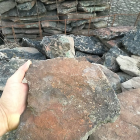 Cold Water Canyon Rock - 1"-2" Moss rock style flat stone