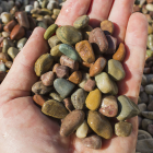 Pami Pebble - 1/2"-Pami-1/2"
