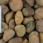 Mexican Beach Pebble - Sunburst 2-3" (Non-Polished)