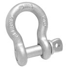 T9641435 - Campbell 7/8" Anchor Shackle, Screw Pin, Hot Galvanized