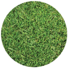 Delta Bluegrass - Shade Blend - Heat Tolerant Tall Fescues Combined with Shade Loving Fine Fescues (10 sqft rolls)