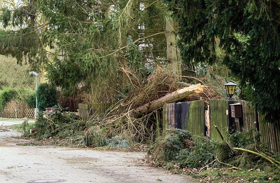 Storm Debris Can Wreak Havoc