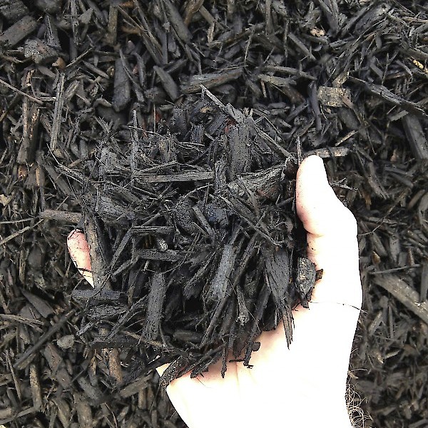 Black Mulch Bee Green Recycling Supply Oakland CA   Black Mulch With Hand 1.600x600 