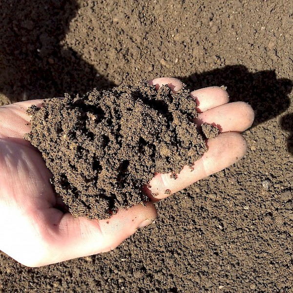 Screened Soil | Bee Green Recycling & Supply, Oakland CA